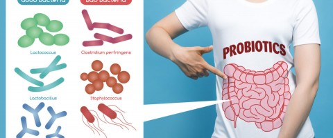 Τι είναι τα προβιοτικά και πώς μας βοηθάνε